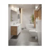 bidet-wiszacy-gap-roca-rodzaj-inne-stan-nowy