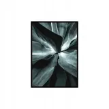 obraz-succulent-50-x-70-cm