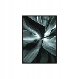 obraz-succulent-50-x-70-cm