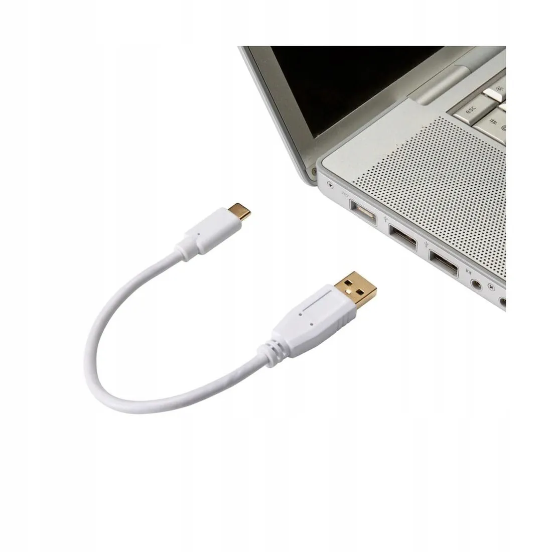 przewod-usb-c-usb-a-20-cm-evology