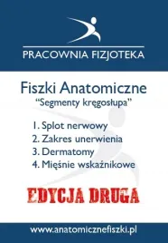 fiszki-anatomiczne-segmenty-kregoslupa-edycja-2