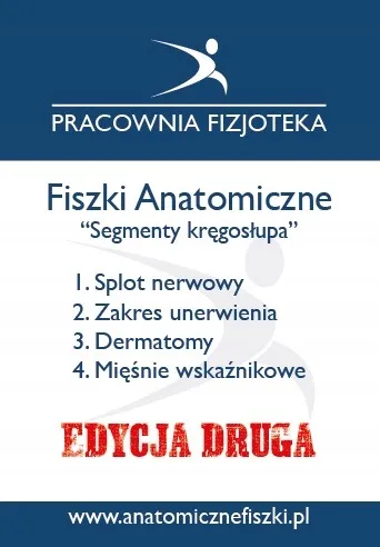 fiszki-anatomiczne-segmenty-kregoslupa-edycja-2