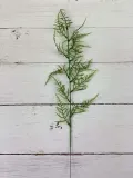 dodatek-zielony-e106-e013-asparagus-70-cm