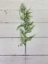 dodatek-zielony-e106-e013-asparagus-70-cm