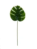 lisc-monstery-rx072-40cm-stan-nowy