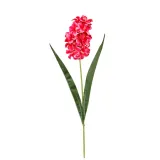 hiacynt-g45-czerwony-49cm