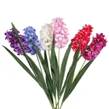 hiacynt-g45-czerwony-49cm-stan-nowy