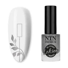 lakier-do-stempli-srebrny-ntn-91