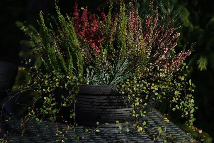 misa-dms07-sr-30-cm-grafit-ksztalt-okragly