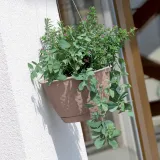 doniczka-wiszaca-ratolla-round-mocca-material-wykonania-tworzywo-sztuczne