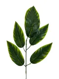lisc-01-2-55-cm