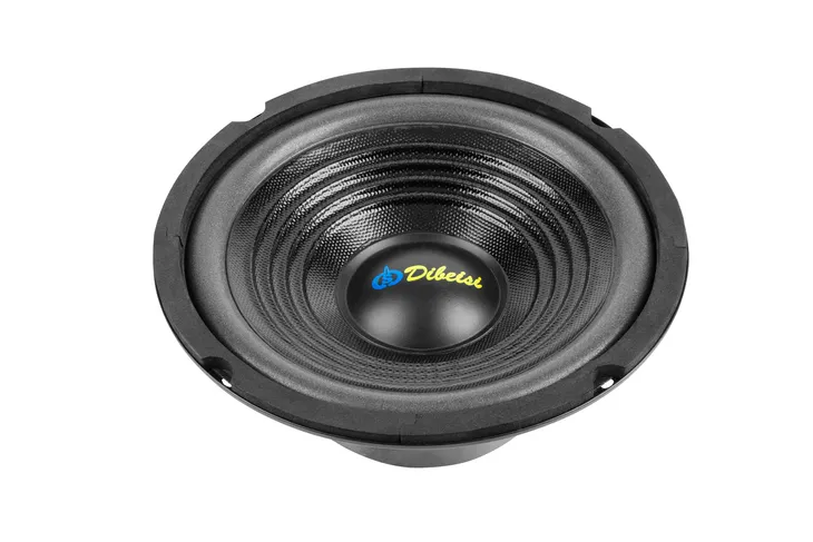 glosnik-65-dbs-g6501-8-ohm