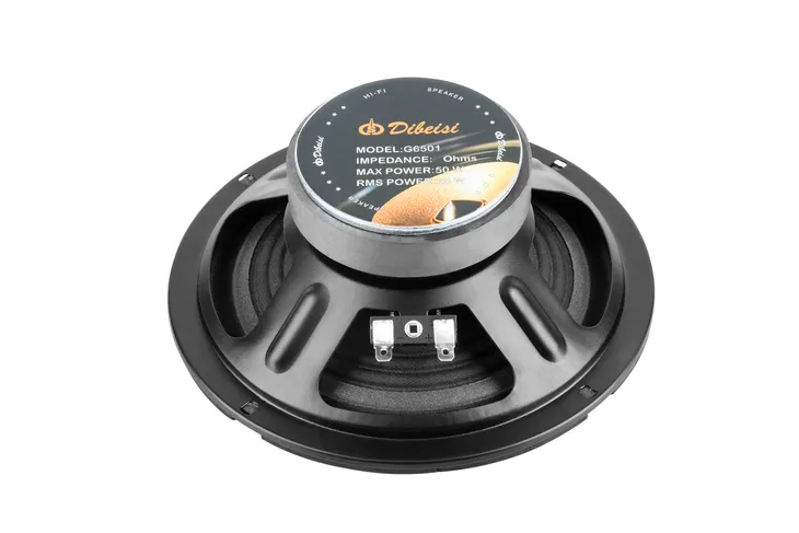 glosnik-65-dbs-g6501-8-ohm