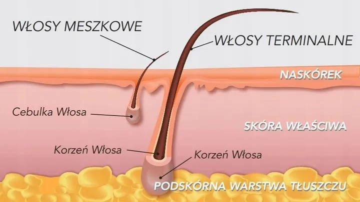 2-1-gratis-depilacja-woski-rolka-algae-paski-flex