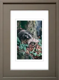 ramka-na-zdjecia-brazowa-rama-25x38-cm