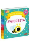 harper-zwierzeta-70892