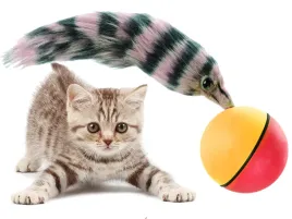 pilka-dla-kota-euroeco-zabawka-biegajacaweazel-ball-dla-kota-psa-fretki