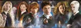 puzzle-panorama-harry-potter-1000-elementow