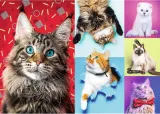 trefl-puzzle-1000-elementow-wesole-koty