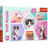 trefl-puzzle-200-kocie-figle