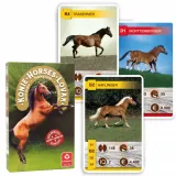 karty-do-gry-konie-cartamundi-waga-z-opakowaniem-0-066-kg