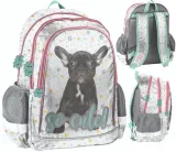 paso-plecak-buldog-so-cute