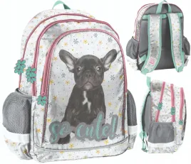 paso-plecak-buldog-so-cute
