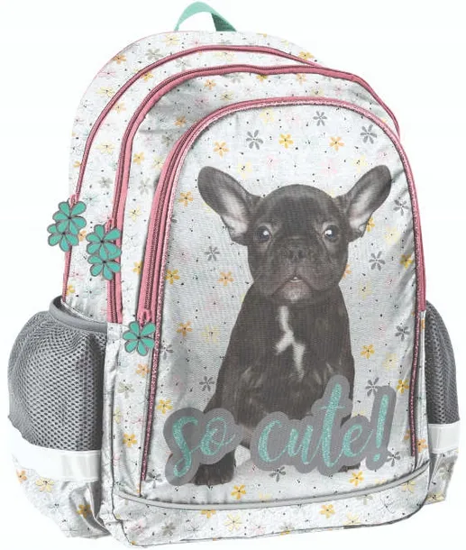 paso-plecak-buldog-so-cute