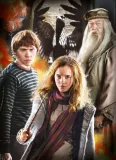 clementoni-puzzle-3x1000-elementow-harry-potter