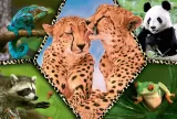 trefl-puzzle-100-piekno-natury