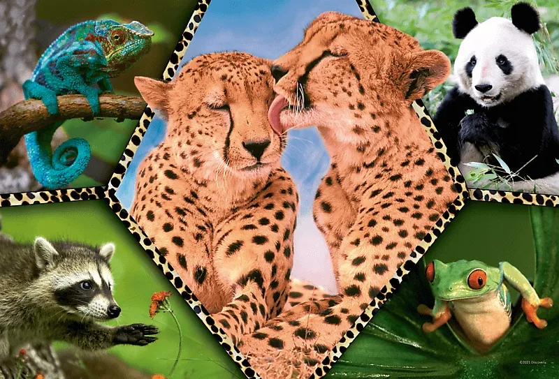 trefl-puzzle-100-piekno-natury