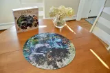 puzzle-harry-potter-magical-creatures-500-elementow