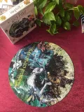 puzzle-harry-potter-magical-creatures-500-elementow