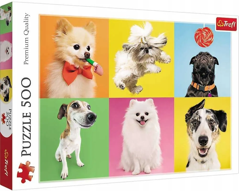 puzzle-500-psy