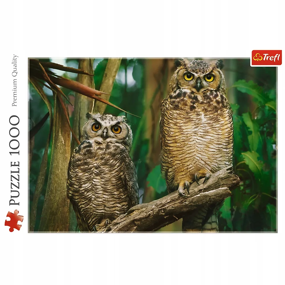 puzzle-1000-sowy