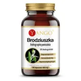 brodziuszka-andrographis-90-kaps-producent-yango