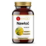 nawloc-90-kaps-producent-yango