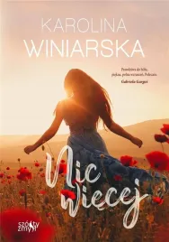 nic-wiecej