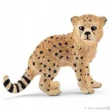 mlody-gepard