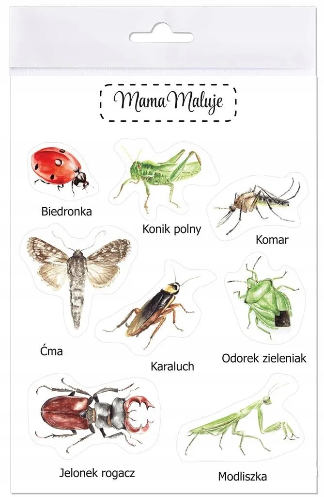 naklejki-duze-owady-1