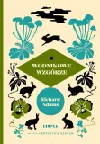 wodnikowe-wzgorze