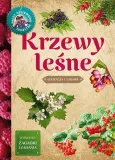 krzewy-lesne