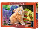 puzzle-500-ginger-kociak-castor