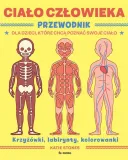 cialo-czlowieka