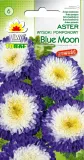 aster-pomponowy-wysoki-blue-moon-05g