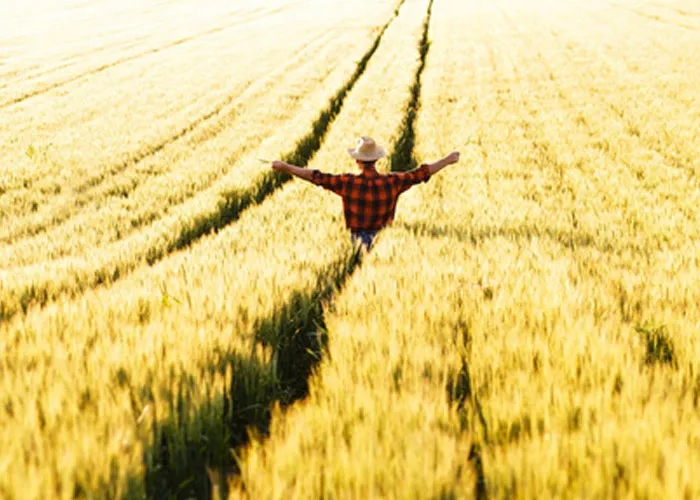 plonvit-zboza-10l-nutriboost-stan-nowy-waga-14-68-kg