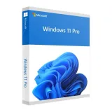 microsoft-windows-11-professional
