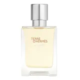 hermes-terre-d-hermes-eau-givree-eau-de-parfum-100ml-refillable