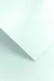 karton-ozdobny-millenium-blektiny-20szt