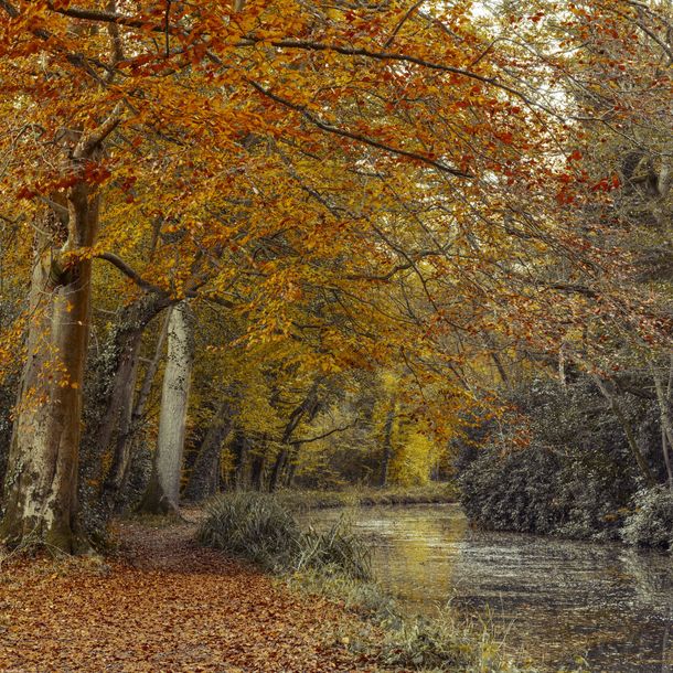 Plakat 50x50cm Ścieżka przy kanale, Assaf Frank